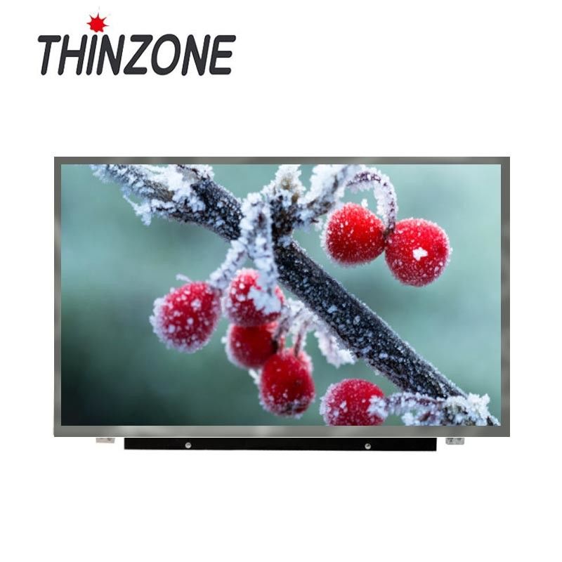 N173HGE-L11 Lcd Display Panel Replacement 17.3 Inch 40 Pins 3 Months Warranty